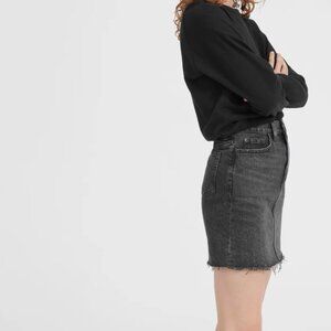 Everlane denim mini skirt